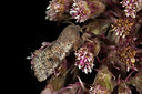 BUITEN BEELD Foto: 286604