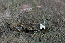 BUITEN BEELD Foto: 286606