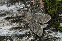BUITEN BEELD Foto: 286610