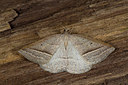 BUITEN BEELD Foto: 286613