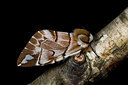 BUITEN BEELD Foto: 286616
