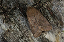 BUITEN BEELD Foto: 286622