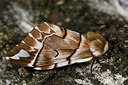 BUITEN BEELD Foto: 286623