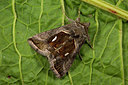 BUITEN BEELD Foto: 286636