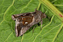 BUITEN BEELD Foto: 286637