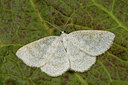 BUITEN BEELD Foto: 286648