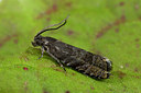 BUITEN BEELD Foto: 286649