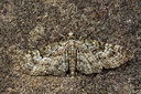 BUITEN BEELD Foto: 286650