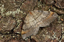 BUITEN BEELD Foto: 286665