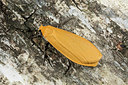 BUITEN BEELD Foto: 286666