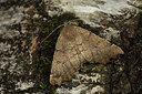 BUITEN BEELD Foto: 286671