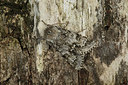BUITEN BEELD Foto: 286672