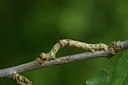 BUITEN BEELD Foto: 286701