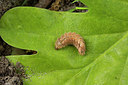 BUITEN BEELD Foto: 286702