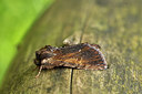 BUITEN BEELD Foto: 286704