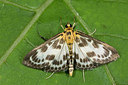 BUITEN BEELD Foto: 286714