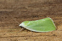 BUITEN BEELD Foto: 286717