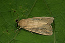 BUITEN BEELD Foto: 286719