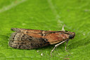 BUITEN BEELD Foto: 286721