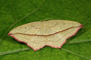 BUITEN BEELD Foto: 286722