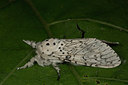BUITEN BEELD Foto: 286728