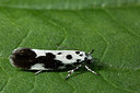 BUITEN BEELD Foto: 286730