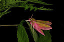 BUITEN BEELD Foto: 286733