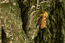 BUITEN BEELD Foto: 286745