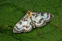 BUITEN BEELD Foto: 286760