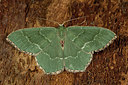BUITEN BEELD Foto: 286763