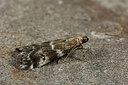 BUITEN BEELD Foto: 286769