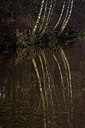 BUITEN BEELD Foto: 286772