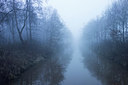 BUITEN BEELD Foto: 286778