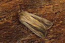 BUITEN BEELD Foto: 286779