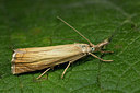 BUITEN BEELD Foto: 286785