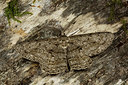 BUITEN BEELD Foto: 286791