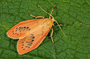 BUITEN BEELD Foto: 286793