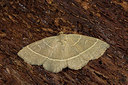 BUITEN BEELD Foto: 286794