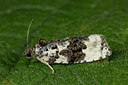 BUITEN BEELD Foto: 286796