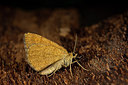 BUITEN BEELD Foto: 286799