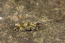 BUITEN BEELD Foto: 286800