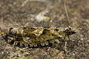 BUITEN BEELD Foto: 286803