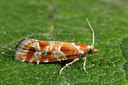 BUITEN BEELD Foto: 286806