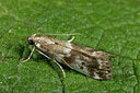 BUITEN BEELD Foto: 286808