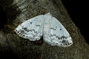 BUITEN BEELD Foto: 286809