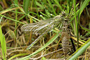 BUITEN BEELD Foto: 286821
