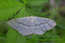 BUITEN BEELD Foto: 286826