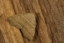 BUITEN BEELD Foto: 286838