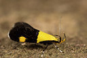 BUITEN BEELD Foto: 286840