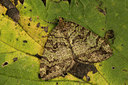 BUITEN BEELD Foto: 286842